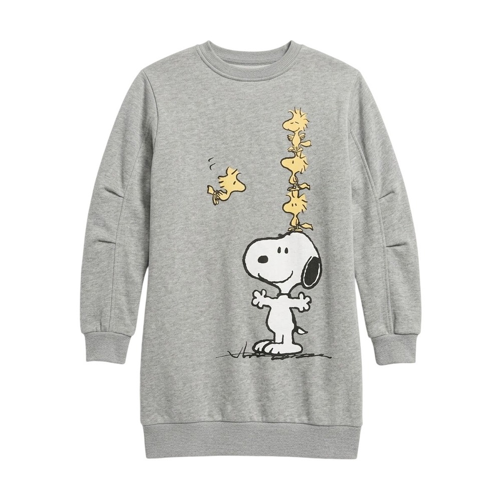 Zara Sweatshirt Kids 9 Grey Snoopy Peanuts Woodstock Graphic Pullover